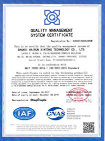 ISO 9001质量管理体系认证（英）